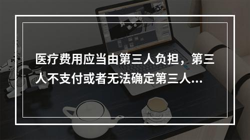 医疗费用应当由第三人负担，第三人不支付或者无法确定第三人的，