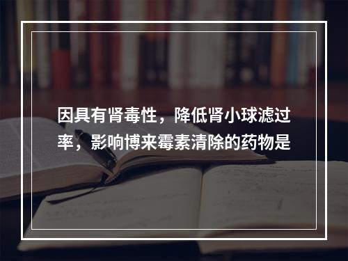 因具有肾毒性，降低肾小球滤过率，影响博来霉素清除的药物是