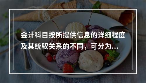 会计科目按所提供信息的详细程度及其统驭关系的不同，可分为（