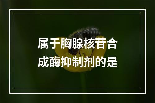 属于胸腺核苷合成酶抑制剂的是