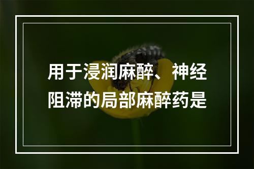 用于浸润麻醉、神经阻滞的局部麻醉药是