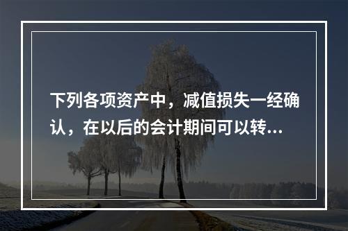 下列各项资产中，减值损失一经确认，在以后的会计期间可以转回的