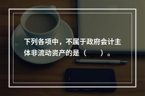 下列各项中，不属于政府会计主体非流动资产的是（　　）。