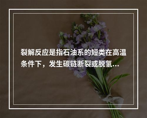 裂解反应是指石油系的短类在高温条件下，发生碳链断裂或脱氢反应