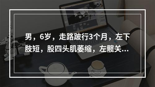 男，6岁，走路跛行3个月，左下肢短，股四头肌萎缩，左髋关节屈