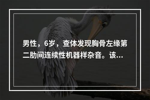 男性，6岁，查体发现胸骨左缘第二肋间连续性机器样杂音。该患儿