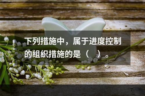 下列措施中，属于进度控制的组织措施的是（　）。