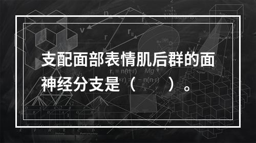 支配面部表情肌后群的面神经分支是（　　）。