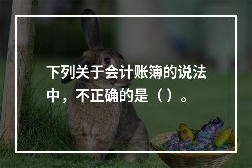 下列关于会计账簿的说法中，不正确的是（ ）。