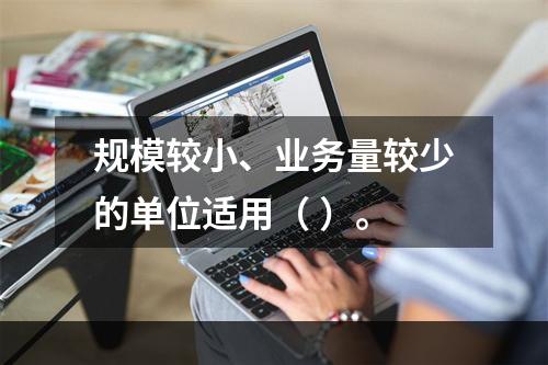 规模较小、业务量较少的单位适用（ ）。