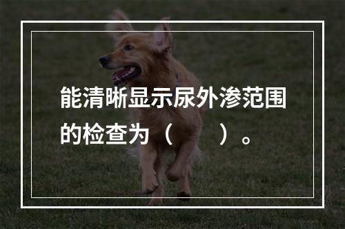 能清晰显示尿外渗范围的检查为（　　）。