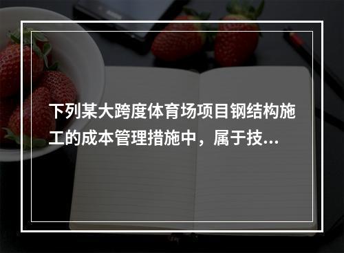 下列某大跨度体育场项目钢结构施工的成本管理措施中，属于技术措