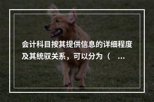 会计科目按其提供信息的详细程度及其统驭关系，可以分为（　　）