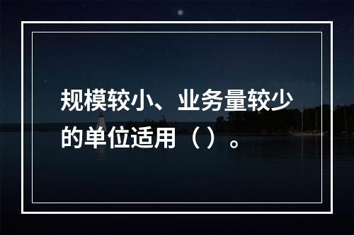 规模较小、业务量较少的单位适用（ ）。