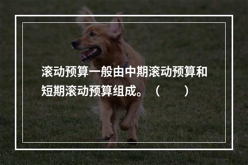 滚动预算一般由中期滚动预算和短期滚动预算组成。（　　）