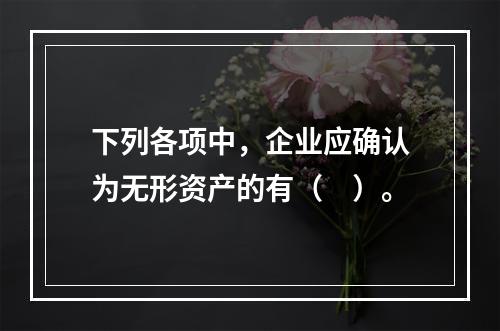 下列各项中，企业应确认为无形资产的有（　）。