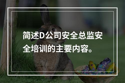 简述D公司安全总监安全培训的主要内容。