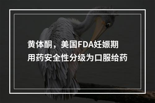 黄体酮，美国FDA妊娠期用药安全性分级为口服给药