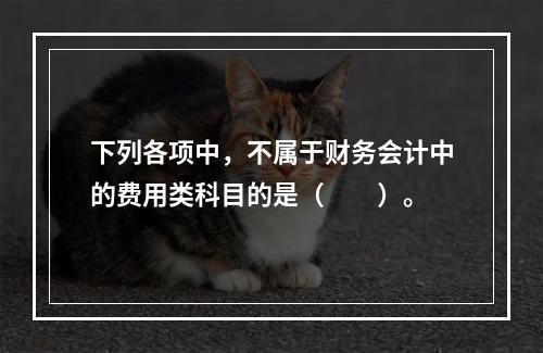 下列各项中，不属于财务会计中的费用类科目的是（　　）。