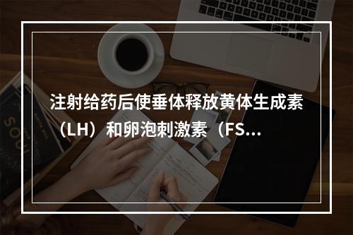 注射给药后使垂体释放黄体生成素（LH）和卵泡刺激素（FSH）