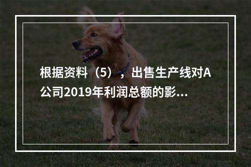 根据资料（5），出售生产线对A公司2019年利润总额的影响金