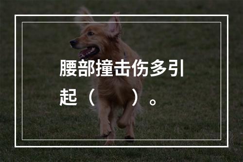 腰部撞击伤多引起（　　）。