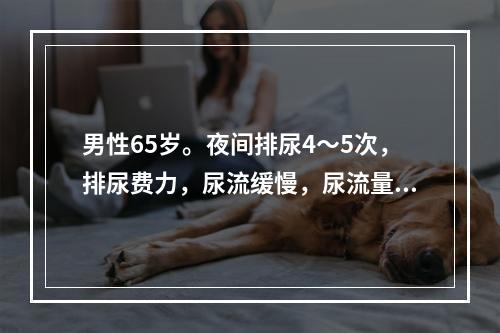 男性65岁。夜间排尿4～5次，排尿费力，尿流缓慢，尿流量测定