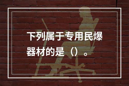 下列属于专用民爆器材的是（）。