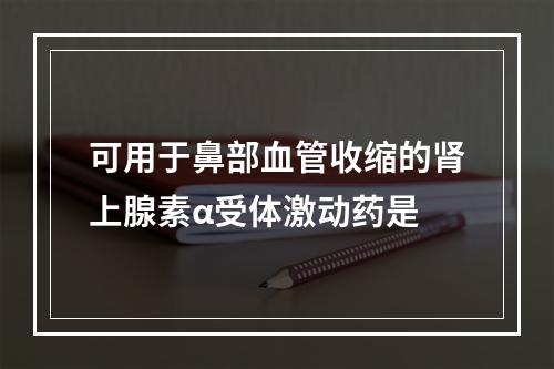 可用于鼻部血管收缩的肾上腺素α受体激动药是