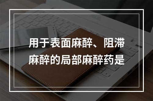 用于表面麻醉、阻滞麻醉的局部麻醉药是