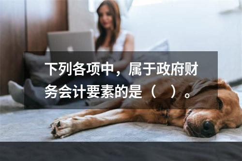 下列各项中，属于政府财务会计要素的是（　）。