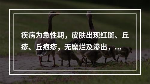 疾病为急性期，皮肤出现红斑、丘疹、丘疱疹，无糜烂及渗出，可用