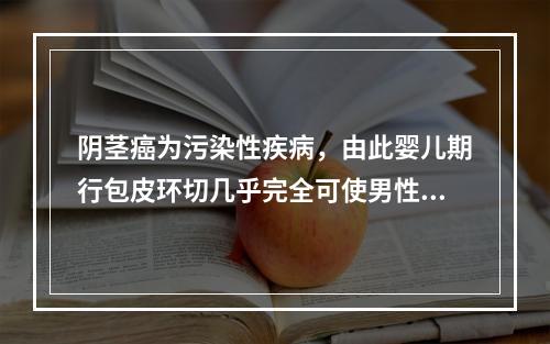 阴茎癌为污染性疾病，由此婴儿期行包皮环切几乎完全可使男性不患