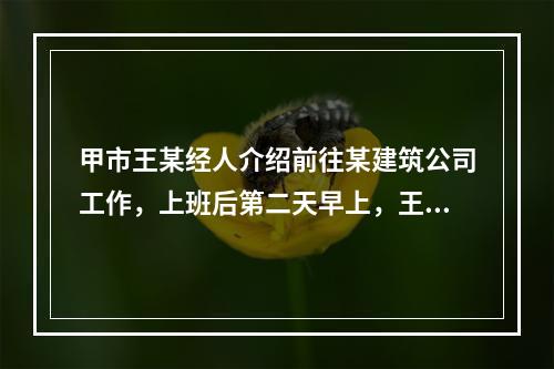 甲市王某经人介绍前往某建筑公司工作，上班后第二天早上，王某提