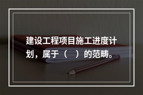 建设工程项目施工进度计划，属于（　）的范畴。