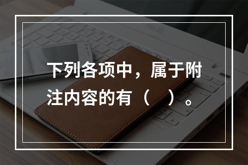 下列各项中，属于附注内容的有（　）。