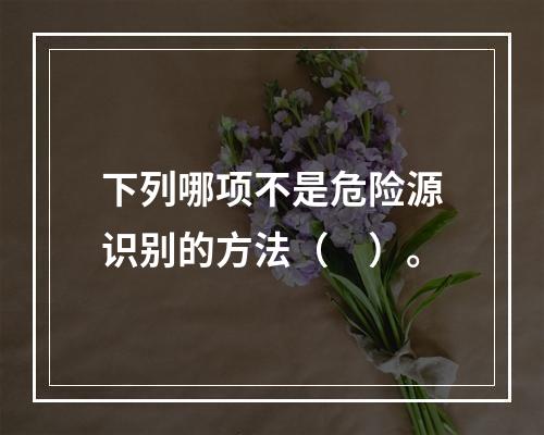 下列哪项不是危险源识别的方法（　）。