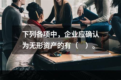 下列各项中，企业应确认为无形资产的有（　）。