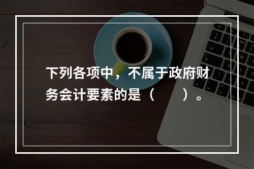 下列各项中，不属于政府财务会计要素的是（　　）。