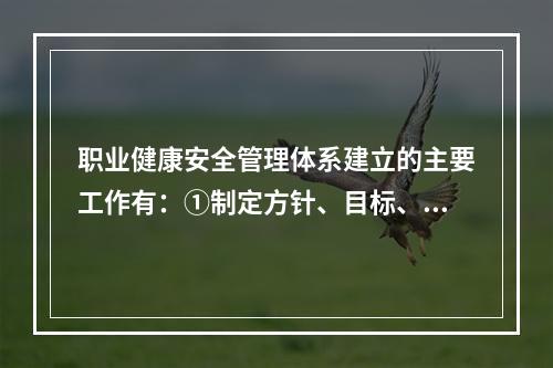 职业健康安全管理体系建立的主要工作有：①制定方针、目标、指标