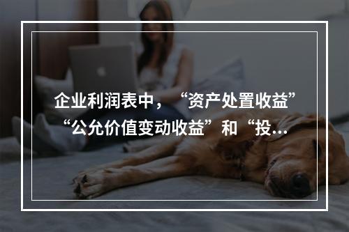 企业利润表中，“资产处置收益”“公允价值变动收益”和“投资收