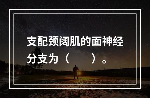 支配颈阔肌的面神经分支为（　　）。