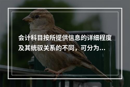 会计科目按所提供信息的详细程度及其统驭关系的不同，可分为（