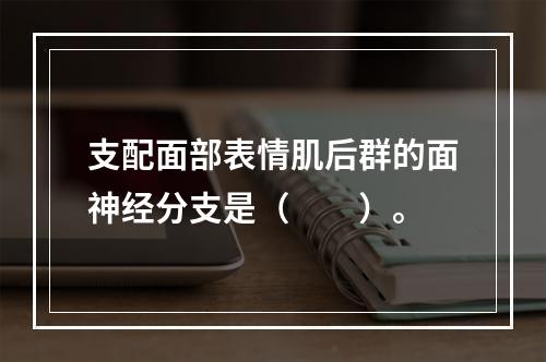 支配面部表情肌后群的面神经分支是（　　）。