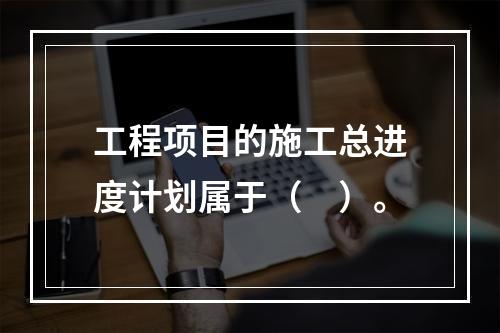 工程项目的施工总进度计划属于（　）。