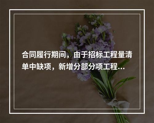 合同履行期间，由于招标工程量清单中缺项，新增分部分项工程清单