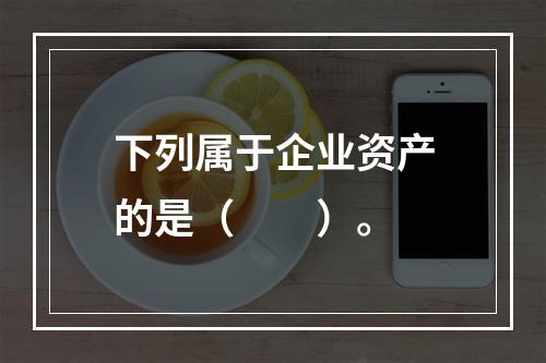 下列属于企业资产的是（　　）。