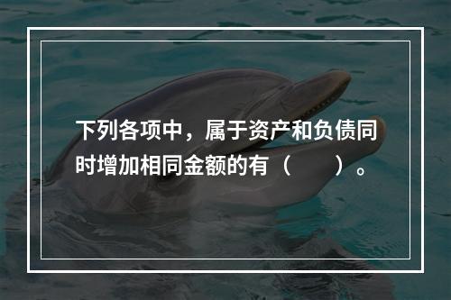 下列各项中，属于资产和负债同时增加相同金额的有（　　）。