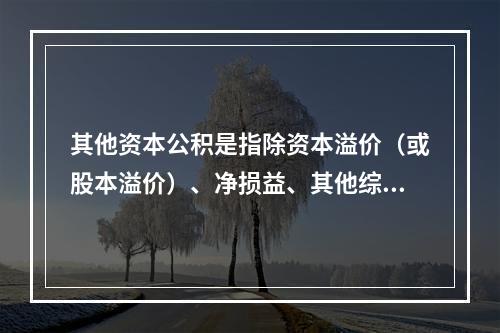 其他资本公积是指除资本溢价（或股本溢价）、净损益、其他综合收