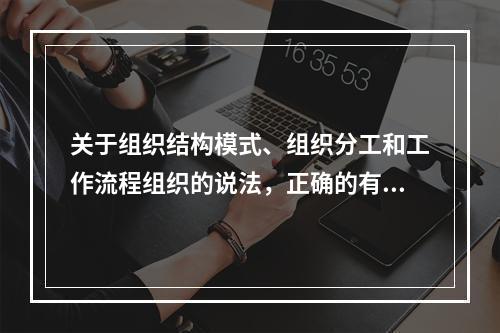 关于组织结构模式、组织分工和工作流程组织的说法，正确的有（　